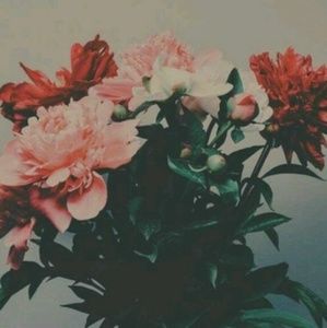 Meet your Posher, Haylee